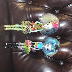 Monster high two dolls!!!